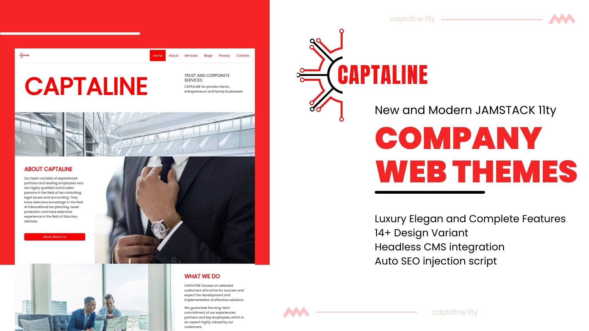 How to use Caplatine Themes